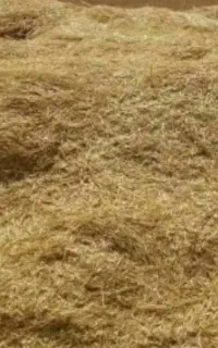 فروش کاه گندم