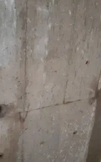 کرگیری