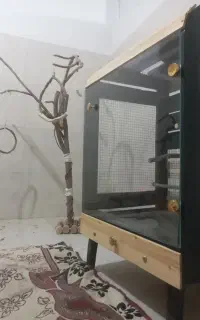 قفس