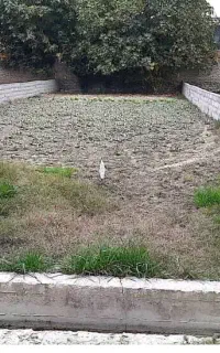 زمین خانه سری