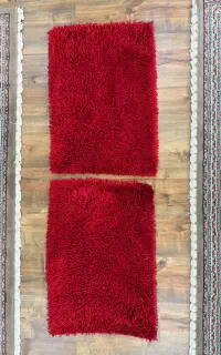 دوعدد پادری ترک