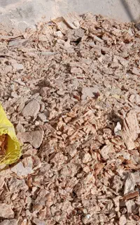 نون خشک تمیز معاوضه با گوسفند