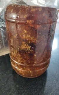 عسل وحشی کاملآ طبیعی
