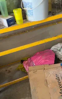 دو عدد ویترین شیشه ای مناسب مغازه