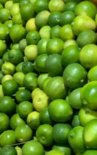 لیمو همراه ابگیری