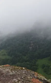 نگهبان.   با   خودرو