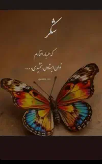 سیم کارت