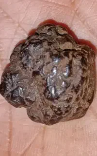 مهره