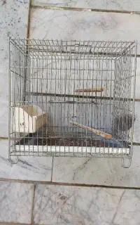 قفس سره اصل غلامی