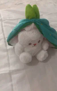 تعدادی عروسک قیمت مناسب