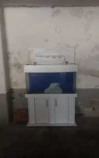 آکواریوم
