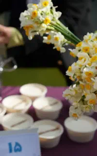 فروش خرید