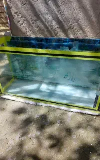 اکواریوم ماهی 30*50*95