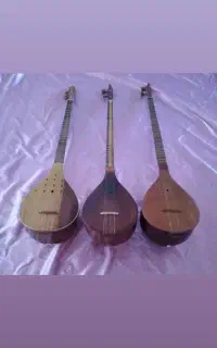 کارگاه سه تار .قیمتهای مختلف