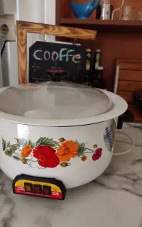 آرام پز و سرخ کن