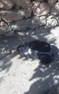 جاروبرقی جهت فروش