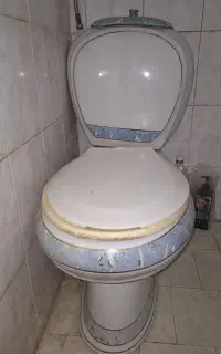 توالت فرنگی چینی