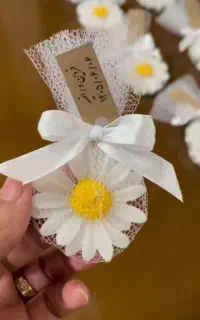 گیفت و گل روبانی