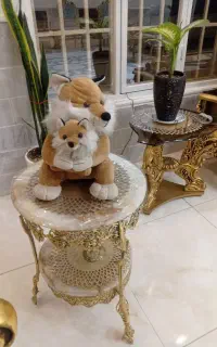 عروسک پولیشی