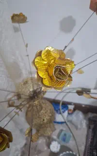 گل مسی ۱۱شاخه
