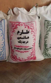 برنج فجر عمده