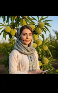 فروش نهال سیب بادام گردو مرکبات گل صنوبر زیتون