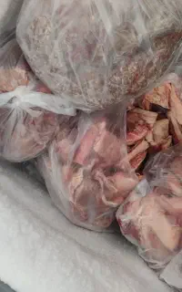 گوشت منجمد مخصوص حیوانات