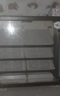 دستگاه جوجه کشی زیر قیمت بازار