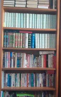 قفسه چوبی کتاب