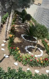 خدمات باغبانی و درختکاری سراسر کرج