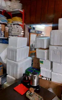 یخدان یونولیت