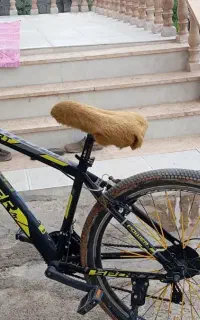 اصلاندوز