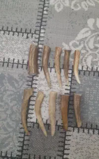 شاخ.دسته کارد.دسته چاقو