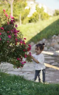 عکاسی آتلیه و فضای باز