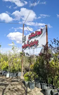 نهالستان