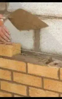 نیازمند بلوک زن ماهر