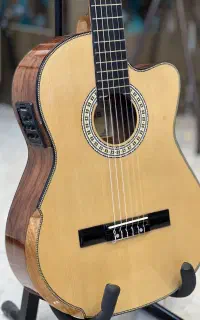 CLARIS GUITAR