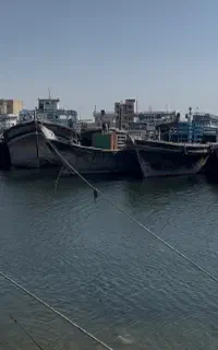 واردات و حمل و نقل کالا از امارات و عمان