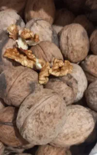 گردو خوب عالی