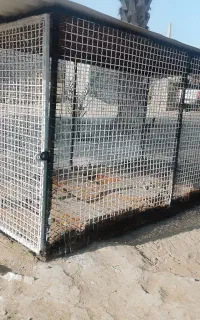 قفس بزرگ