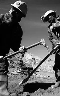 جویای کار