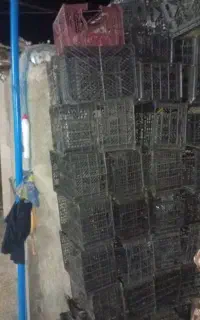 سبد 14 کلیوی جای گوجه