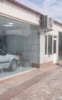 نیروی  سرایه دار ونگهبان