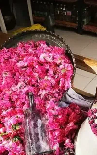 تورکاشان چهارشنبه 16اردیبهشت