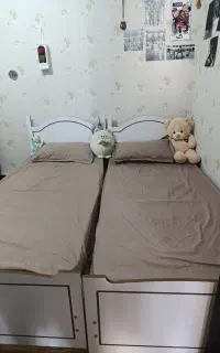 دو عدد رو تختی و رو بالشتی یک نفره