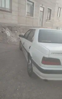 پژوپرشیا