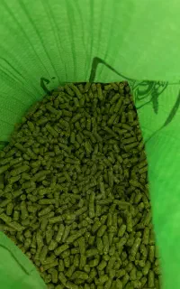 خوراک خرگوش و لوپ