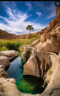 تور کویر طبس