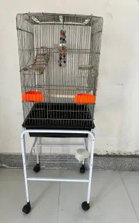قفس
