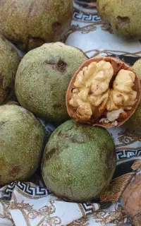 گردو درجه یک میشخاص